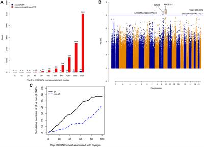 Robust Performance of Potentially Functional SNPs in Machine Learning Models for the Prediction of Atorvastatin-Induced Myalgia